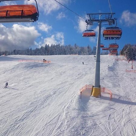 Willa Male Alpy 300 M Od Kompleksow Narciarskich Krynica Zdroj Buitenkant foto
