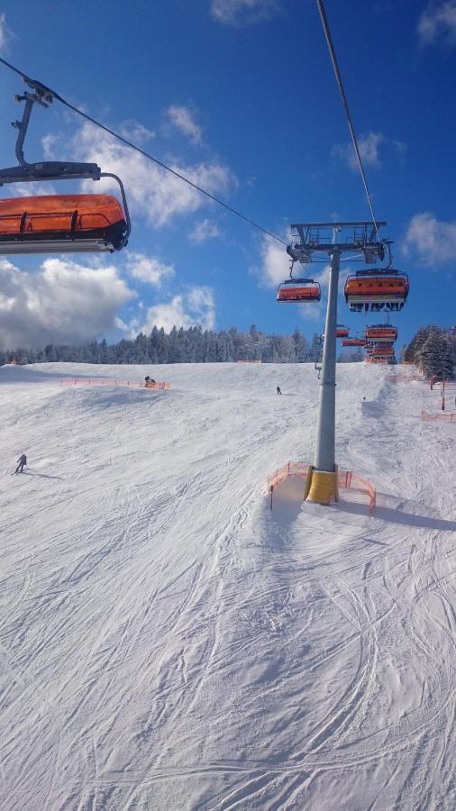 Willa Male Alpy 300 M Od Kompleksow Narciarskich Krynica Zdroj Buitenkant foto