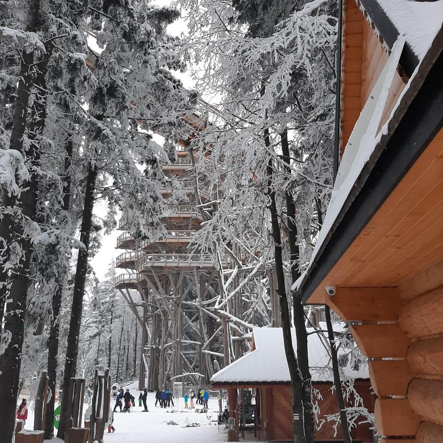 Willa Male Alpy 300 M Od Kompleksow Narciarskich Krynica Zdroj Buitenkant foto