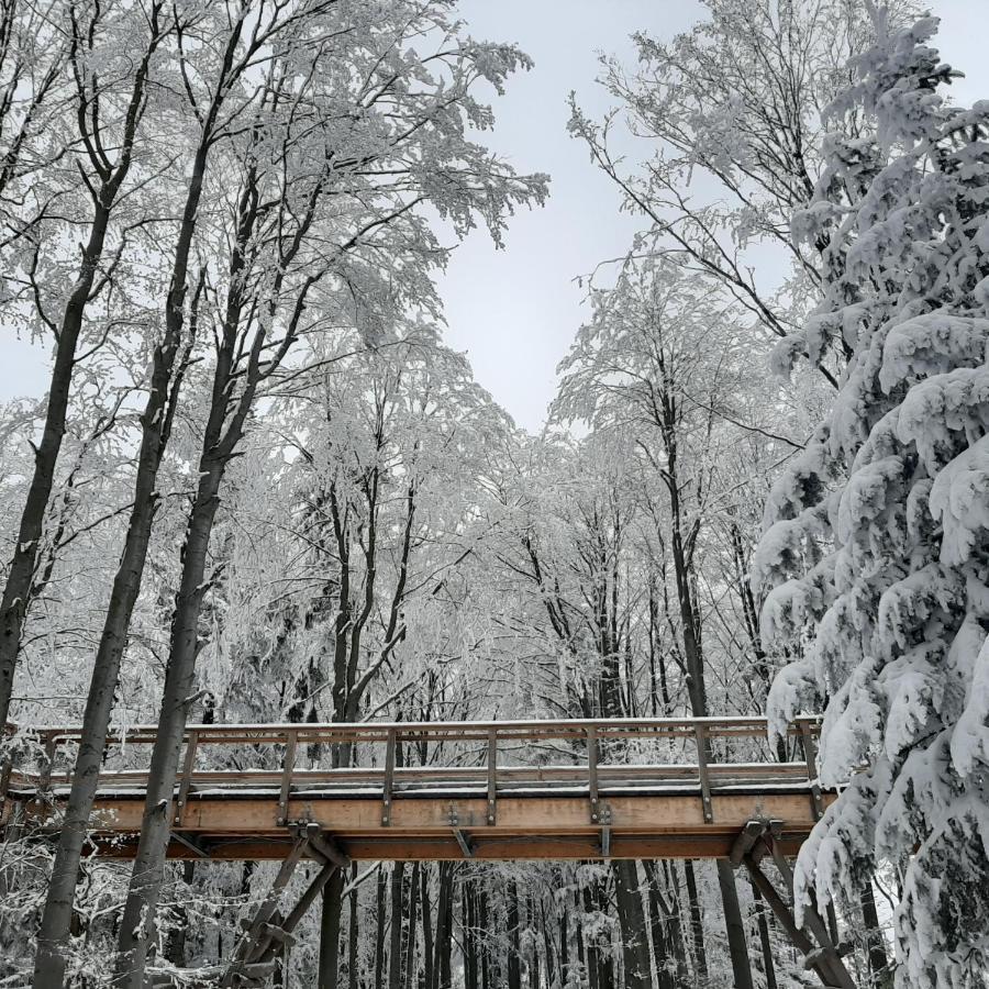 Willa Male Alpy 300 M Od Kompleksow Narciarskich Krynica Zdroj Buitenkant foto
