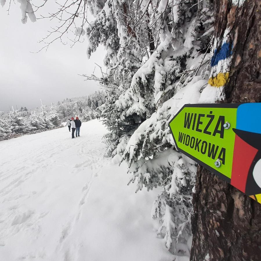 Willa Male Alpy 300 M Od Kompleksow Narciarskich Krynica Zdroj Buitenkant foto
