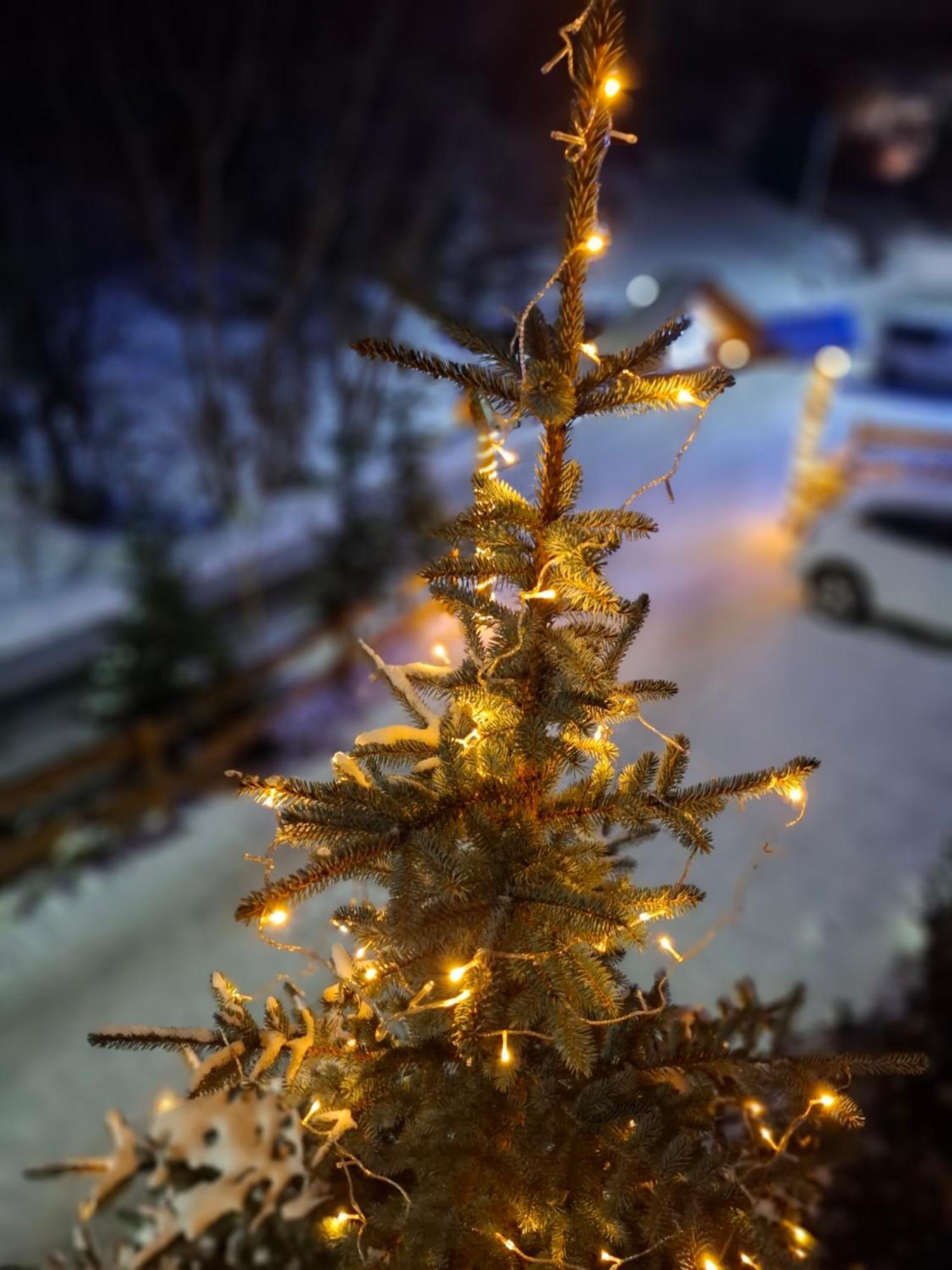Willa Male Alpy 300 M Od Kompleksow Narciarskich Krynica Zdroj Buitenkant foto