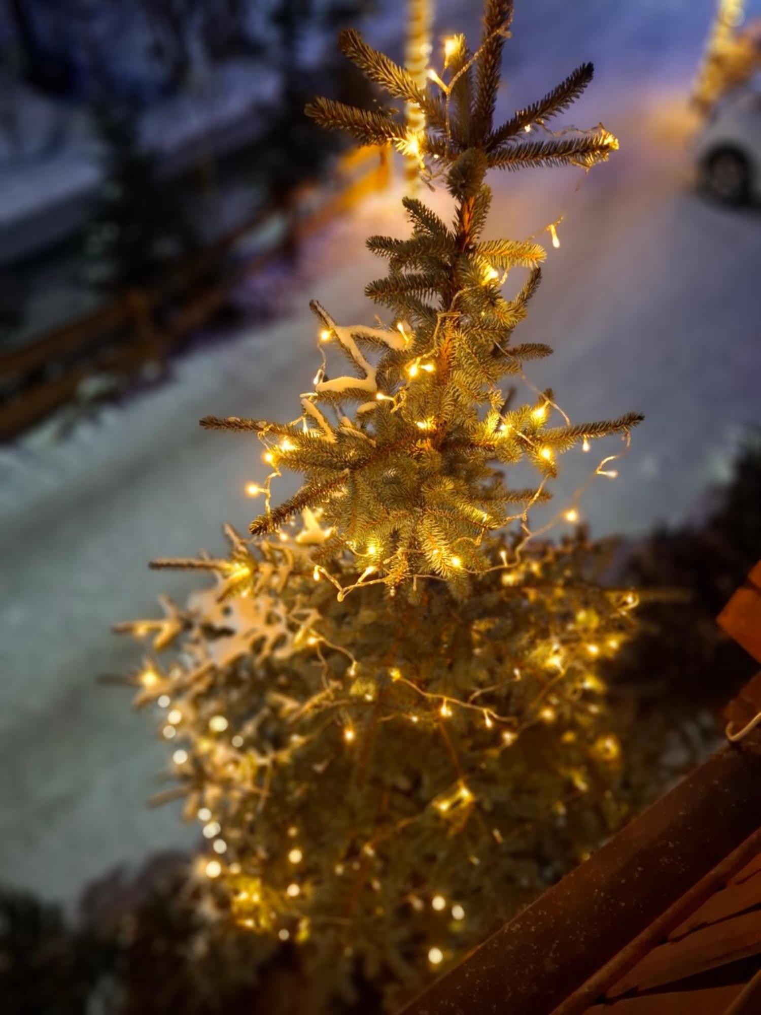Willa Male Alpy 300 M Od Kompleksow Narciarskich Krynica Zdroj Buitenkant foto