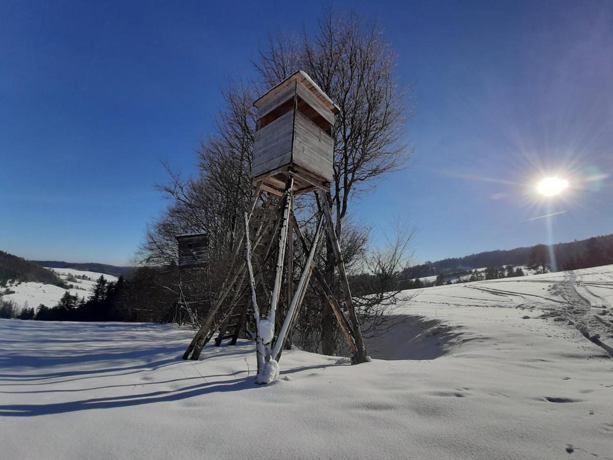 Willa Male Alpy 300 M Od Kompleksow Narciarskich Krynica Zdroj Buitenkant foto